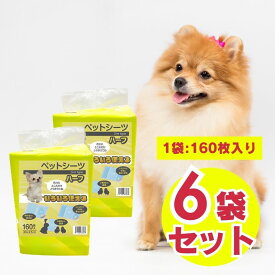 ペットシーツ スリムタイプ スリムタイプ レギュラーハーフ 160枚×6袋セット 大容量 お徳用 多頭飼い 小型犬 超小型犬 小動物 業務用