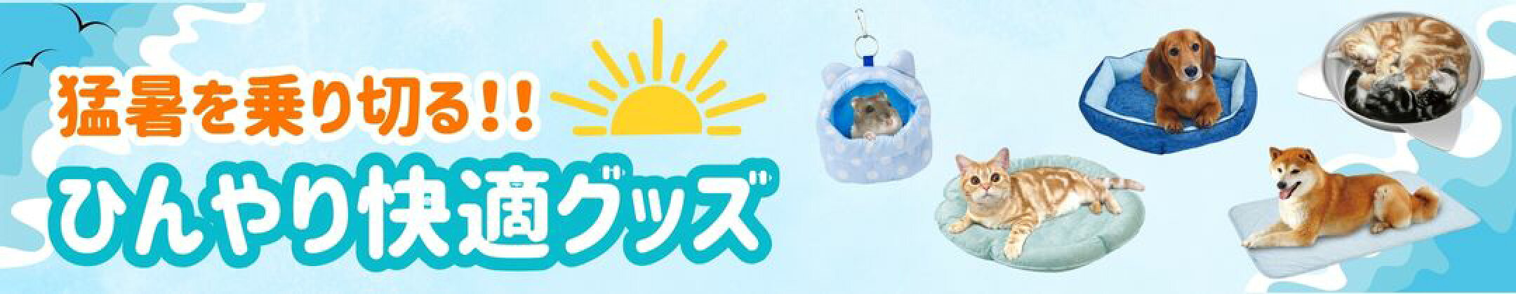 夏用グッズ