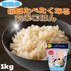 HׂȂ錺Ă͂  1kg ߘa6NY   萸 Ă ȒP `bNt  Hi 1L  Y   ^pN r^~ ~l H@ _CG
