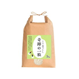 令和7年産 福岡県産 奇跡の一粒紐結び 「恵つくし」 5kg 10kg 20kg