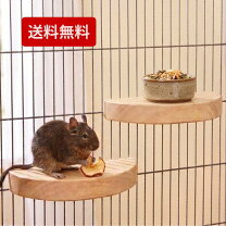 楽天市場】デグー 用品（その他｜小動物用品）：ペット・ペットグッズ 