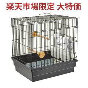 yAEXܓWԂzz?GC 21fbNXB ^P[W