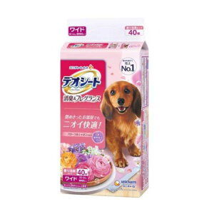 jE`[ fIV[gL&tOX t[V{̍ Ch 40×6܃Zbg