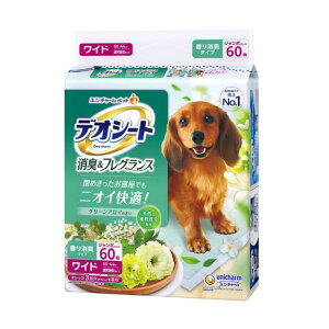 jE`[ fIV[gL&tOX O[A}̍ Ch 60×4܃Zbg