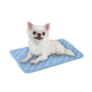 }J Ђ}bg M[ ybg ⊴ N[  L }bg pCn N[}bg