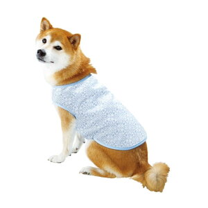 }J COOLUxXg M N[EFA ybg pxXg CMp ڐG⊴ pN[xXg UxXg MǑ΍ ^ ˔M΍ N[_E