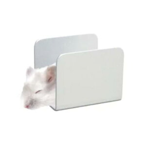 }J n̂ЂA~ Ђ ڐG⊴ ėp ⊴  ЂЂ N[ ΍