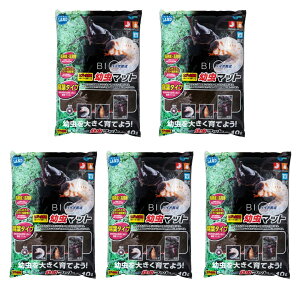 oCI琬c}bg10L  }bg JugV 