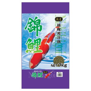 スマック 錦鯉 7kg