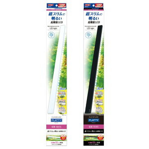 �W�F�b�N�X GEX �N���ALED �t���b�e�B 600BK/600WH