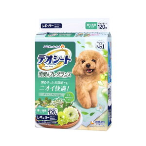 jE`[ fIV[gL&tOX O[A}̍ M[ 120×4܃Zbg