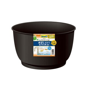 XyNg uY Wp eg 傤ŃLC_J  30 