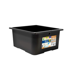 XyNg uY Wp eg 傤ŃLC_J 40×40 