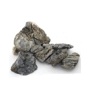 _{ J~n^ ؐ΃CAEgZbg p ANAE CAEg r[Vv CAEg VR