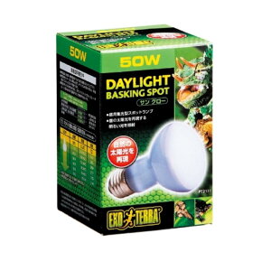 WFbNX TO[oXLOX|bg v50W PT2131