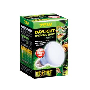 WFbNX TO[oXLOX|bg v75W PT2132