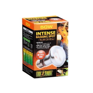 WFbNX TO[^Cgr[oXLO X|bgv50W PT2135