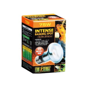 WFbNX TO[^Cgr[oXLO X|bgv75W PT2136