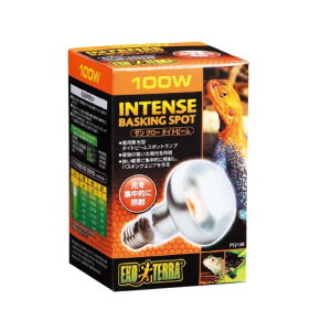 WFbNX TO[^Cgr[oXLO X|bgv100W PT2138