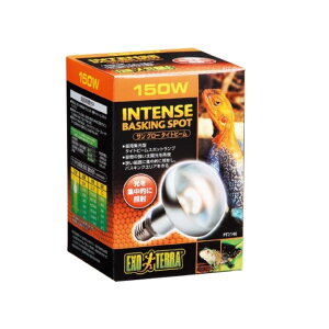 WFbNX TO[^Cgr[oXLO X|bgv150W PT2140