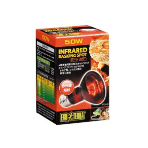 WFbNX q[gO[ԊOƎ˃X|bg v50W PT2141