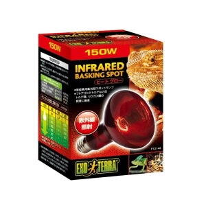 WFbNX q[gO[ԊOƎ˃X|bg v150W PT2146