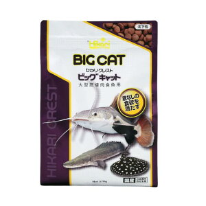 L[ ЂNXg rbOLbg 570g×12܃Zbg