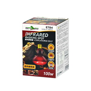 OW ԊOۉ oXLOX|bgv 100W