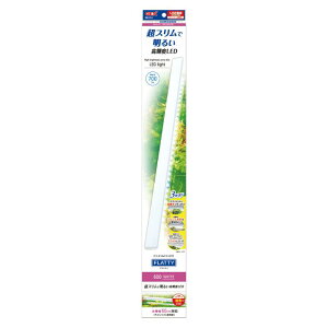 WFbNX NALED tbeB 600WHb ANAE LED p LED USB