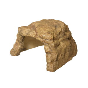 Xh[ bNVF^[SP L2 ঒  ANAE VF^[ 