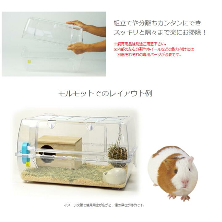 楽天市場】三晃商会 ルーミィ60 ベーシック ハムスター 飼育ケース 