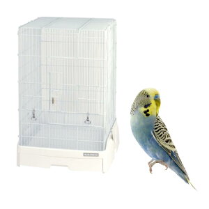 OW C[W[z[ 40nC WH zCg p P[W 