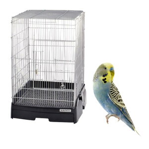 OW C[W[z[ 40nC BK(ubN)