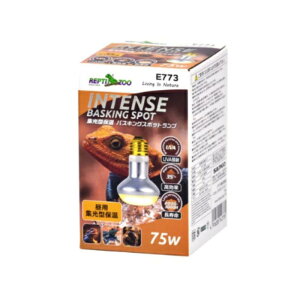 OW W^ۉ oXLOX|bgv 50W gJQ NK ঒ ۉv  Ǝ  Toi