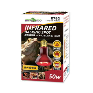 OW ԊOۉ oXLOX|bgv 50W