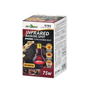 OW ԊOۉ oXLOX|bgv 75W