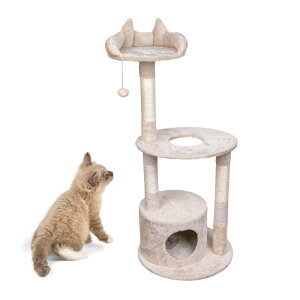 Lbg^[ lR^ Lbgc[ L^[ LnEX ܂Ƃ  s   CeA