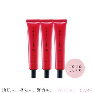 3Zbg x CI ZPA 5M(g) 40ml g[gg Ȗїp Tꔄ eꔄ e@ Tꔄi