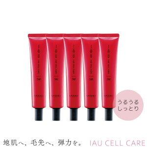 5Zbg x CI ZPA 5M(g) 40ml g[gg Ȗїp Tꔄ eꔄ e@ Tꔄi