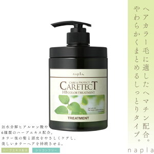 iv PAeNgHBJ[g[ggS 650g wAJ[  g[gg FJ[yAg[gg eꔄ e@ Tꔄi