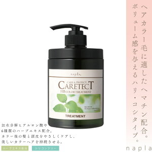 iv PAeNgHBJ[g[ggV 650g wAJ[  g[gg FJ[yAg[gg eꔄ e@ Tꔄi