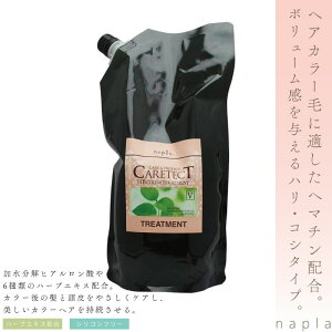 iv PAeNgHBJ[g[ggV1200gtB wAJ[  g[gg FJ[yAg[gg eꔄ e@ Tꔄi