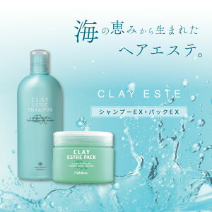 r[GbNX NCGXe Vv[EX 330ml + pbNEX 300g Zbg DVv[ eꔄ e@ Tꔄi gx[l