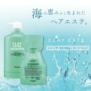 r[GbNX NCGXe Vv[EX pE`(߂) 500ml + pJ[gbW Zbg DVv[ lߑւ eꔄ e@ Tꔄi gx[l