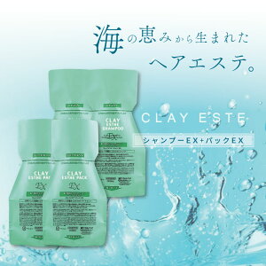 r[GbNX NCGXe Vv[EX 500ml + pbNEX 500g pE`(߂) ye2(S4)Zbgz DVv[ lߑւ eꔄ e@ Tꔄi gx[l