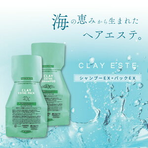 r[GbNX NCGXe Vv[EX 500ml + pbNEX 500g pE`(߂) Zbg DVv[ lߑւ eꔄ e@ Tꔄi gx[l