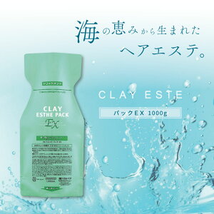 r[GbNX NCGXe pbNEX pE`(߂) 1000g D g[gg lߑւ eꔄ e@ Tꔄi gx[l