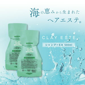 2Zbg r[GbNX NCGXe Vv[EX pE`(߂) 500ml DVv[ lߑւ eꔄ e@ Tꔄi gx[l