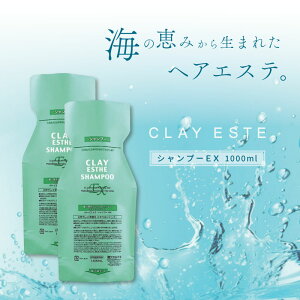 2Zbg r[GbNX NCGXe Vv[EX pE`(߂) 1000ml DVv[ lߑւ eꔄ e@ Tꔄi gx[l