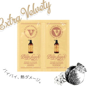 b-ex fB[vC[ TVFExV 10mL+10g GNXgxxbeB gCAZbg  eꔄ e@ Tꔄi gx[l